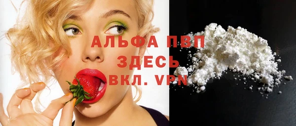 гидра Вязники