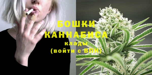 гидра Вязники