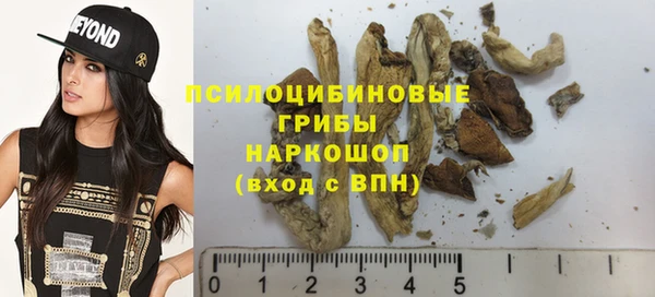 гидра Вязники